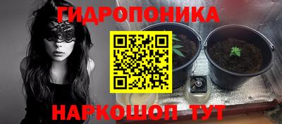 Альфа ПВП Заводоуковск