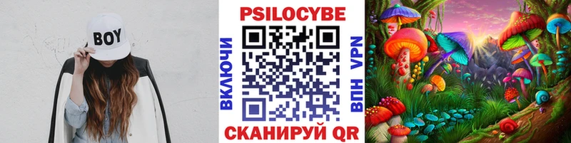 Галлюциногенные грибы GOLDEN TEACHER  купить наркотики сайты  OMG ONION  Малгобек 